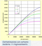 Problemi di Datazione, Carbonio 14  e Contaminazione - Il volto della Sacra Sindone