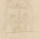 IL VOLTO DELLA SACRA SINDONE